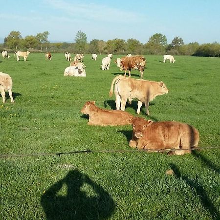 Valeille La Ferme Du Nizon 아파트 외부 사진