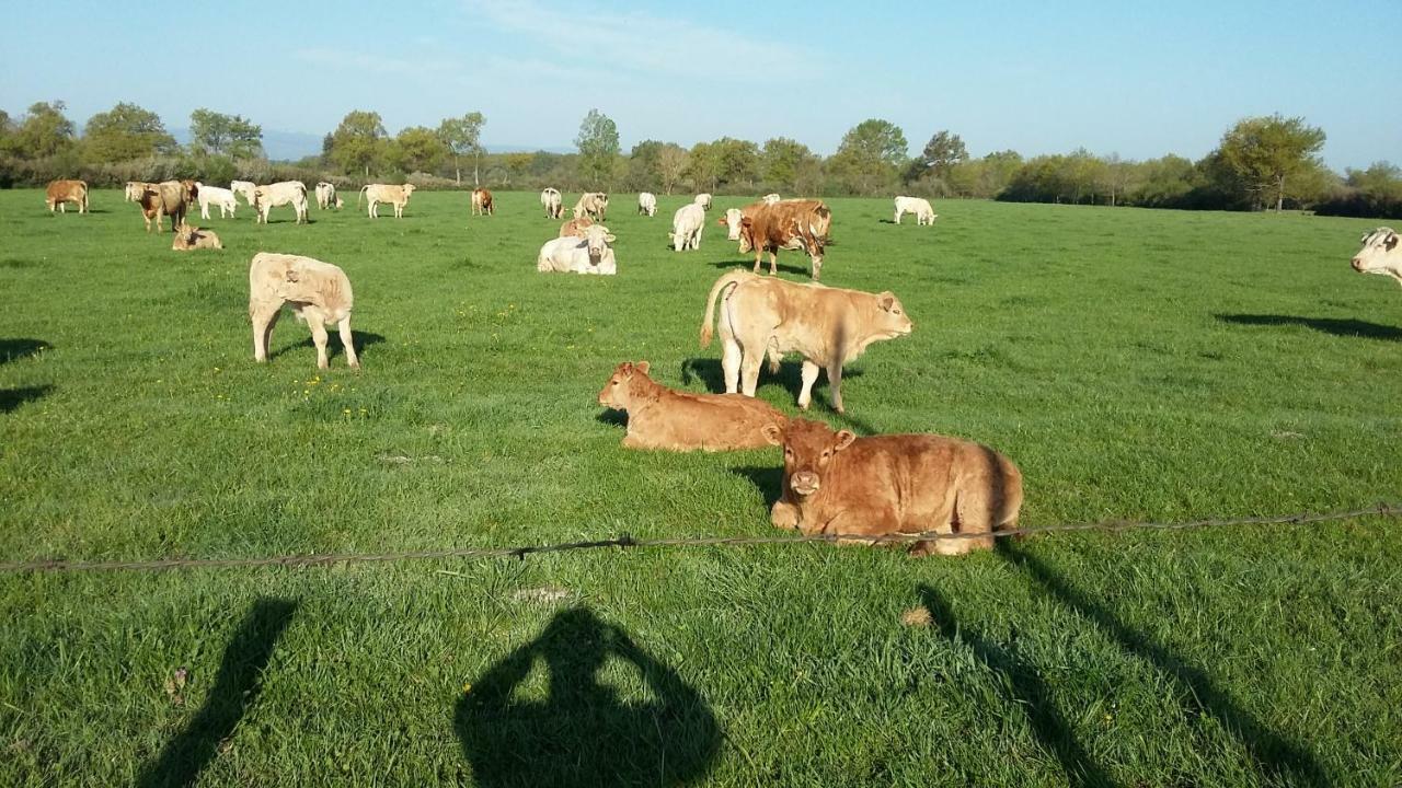 Valeille La Ferme Du Nizon 아파트 외부 사진